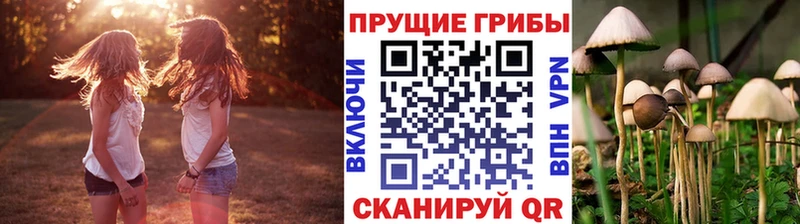 Галлюциногенные грибы Cubensis  даркнет сайт  Долинск 